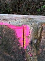 Think Pink